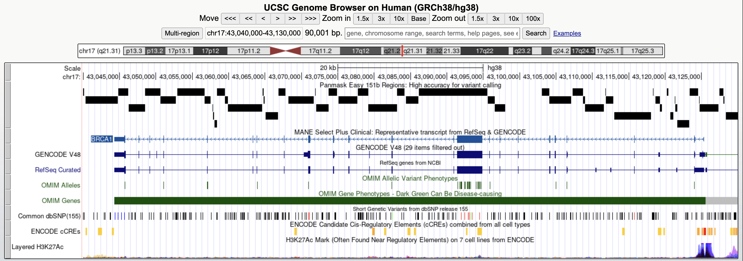 Panmask Easy 151b Regions track for the BRCA1 exon 19